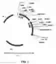 Fig. 02 - ANTAGONISTS OF PCSK9