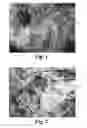 Fig. 02 - DYNAMIC BIOACTIVE NANOFIBER SCAFFOLDING