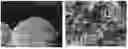 Fig. 01 - CALCIUM ABSORPTION ENHANCER