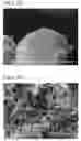 Fig. 02 - CALCIUM ABSORPTION ENHANCER