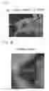 Fig. 02 - Compositions and methods for forming and strengthening bone
