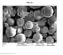 Fig. 07 - Composition and microsphere for controlled-release of exendin, and method preparing the same