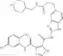 Fig. 171 - JAK-2 modulators and methods of use