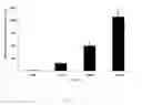 Fig. 02 - Kokumi-imparting agent, method of using, and compositions containing same