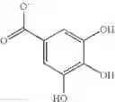 Fig. 02 - TEA COMPOSITION