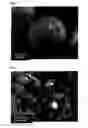 Fig. 03 - Warm spray coating method and particles used therefor