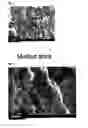 Fig. 04 - Warm spray coating method and particles used therefor