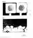 Fig. 11 - Warm spray coating method and particles used therefor