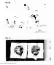 Fig. 15 - Warm spray coating method and particles used therefor