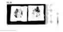 Fig. 23 - Warm spray coating method and particles used therefor