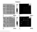 Fig. 07 - METHOD FOR PRODUCING SURFACES AND SUBSTRATES HAVING SAID SURFACES SO FORMED
