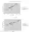Fig. 03 - Cementitious Board Manufacture