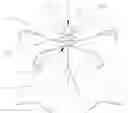 Fig. 01 - Ornament Assembly that is Assembled and Disassembled Easily and Conveniently