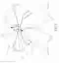 Fig. 02 - Ornament Assembly that is Assembled and Disassembled Easily and Conveniently
