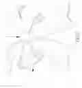 Fig. 03 - Ornament Assembly that is Assembled and Disassembled Easily and Conveniently