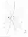 Fig. 06 - Ornament Assembly that is Assembled and Disassembled Easily and Conveniently