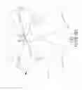 Fig. 08 - Ornament Assembly that is Assembled and Disassembled Easily and Conveniently