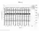 Fig. 06 - Fuel cell system and driving method thereof