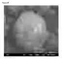 Fig. 09 - METHOD OF PREPARING SPHERICAL SHAPE POSITIVE ACTIVE MATERIAL FOR LITHIUM SECONDARY BATTERY