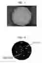 Fig. 02 - Magnetic carrier and two-component developer