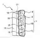Fig. 01 - SHELL PLATE FOR ARTIFICIAL TEETH WITH ARRANGEMENT ASSISTING FUNCTION