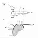 Fig. 09 - SHELL PLATE FOR ARTIFICIAL TEETH WITH ARRANGEMENT ASSISTING FUNCTION