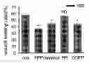 Fig. 01 - Compound containing farnesyl diphosphate for modulating TRPV3 function and use thereof