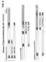 Fig. 07 - CHROMATIN STRUCTURE DETECTION