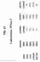 Fig. 22 - CHROMATIN STRUCTURE DETECTION