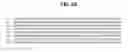 Fig. 07 - BSL3 antibodies