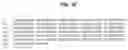 Fig. 14 - BSL3 antibodies