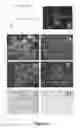 Fig. 02 - In vitro method for diagnosing prostate cancer