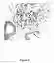 Fig. 04 - In vitro method for diagnosing prostate cancer