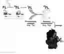 Fig. 01 - Photo-induced damage mitigating agents and preparation and methods of use thereof