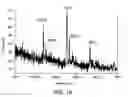 Fig. 34 - Methods and products related to the improved analysis of carbohydrates