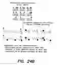 Fig. 44 - Methods and products related to the improved analysis of carbohydrates