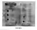 Fig. 06 - SENSOR DEVICE