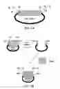 Fig. 02 - Compositions and methods for the assembly of polynucleotides