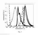 Fig. 02 - Methods and compositions for detection and analysis of polynucleotides using light harvesting multichromophores