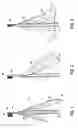 Fig. 02 - Toothbrush and amusement device