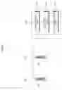 Fig. 09 - Data transmission system for transmitting data via relay having multiple antennas
