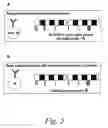 Fig. 06 - Sequence based engineering and optimization of single chain antibodies