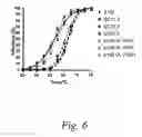 Fig. 07 - Sequence based engineering and optimization of single chain antibodies