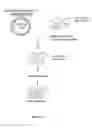 Fig. 02 - NELL-1 peptides