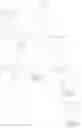 Fig. 28 - Naphthylacetic acids
