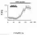 Fig. 02 -  COMPOUND FOR INHIBITING TRPV3 FUNCTION AND USE THEREOF
