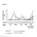 Fig. 09 - Sphingosine Kinase Inhibitors and Methods of Their Use