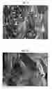 Fig. 02 - Use