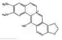Fig. 01 - Methods for preparing dehydrocavidine, dehydroapocavidine or their composition, their use and medicinal composition containing them