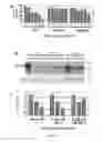 Fig. 10 - Compositions and Methods for the Treatment of Diseases Associated with Aberrant Cilia Assembly and Regulation